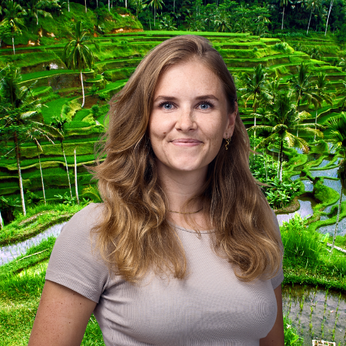 Medarbejder Med Anden Baggrund