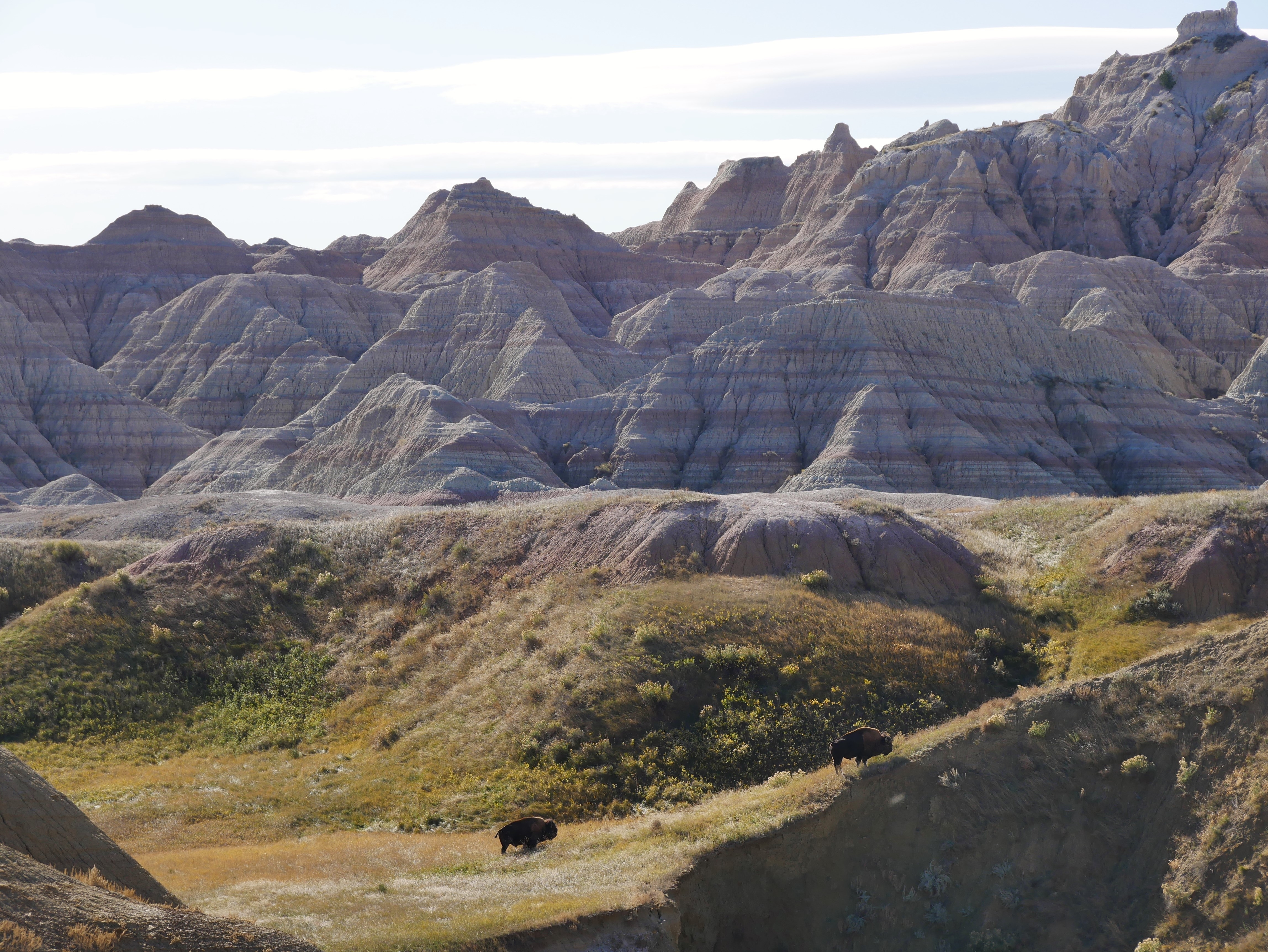 Badlands Shutterstock 2395221051