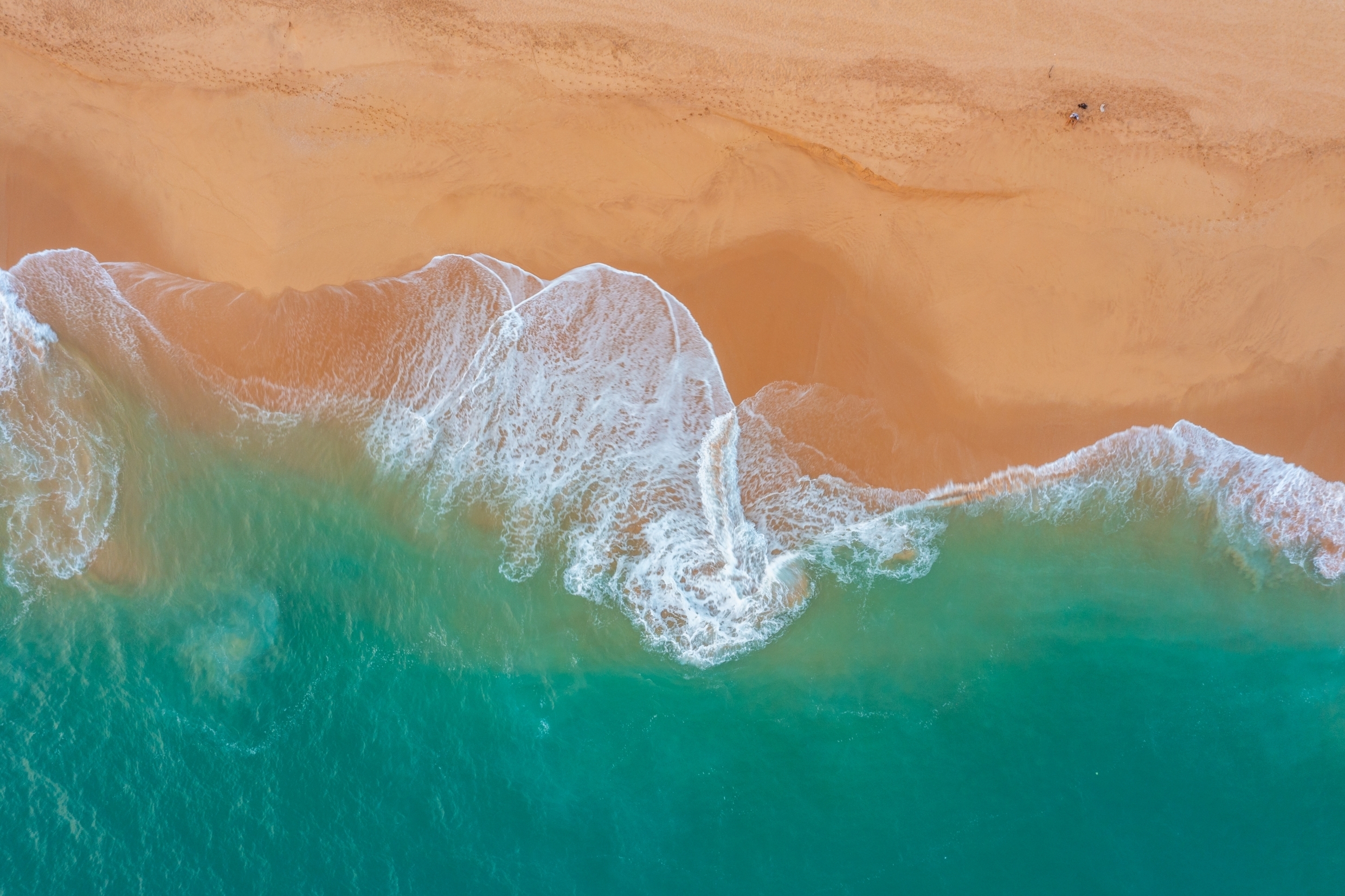 Shutterstock 2357524687 (Mangrove Beach Tangalle)