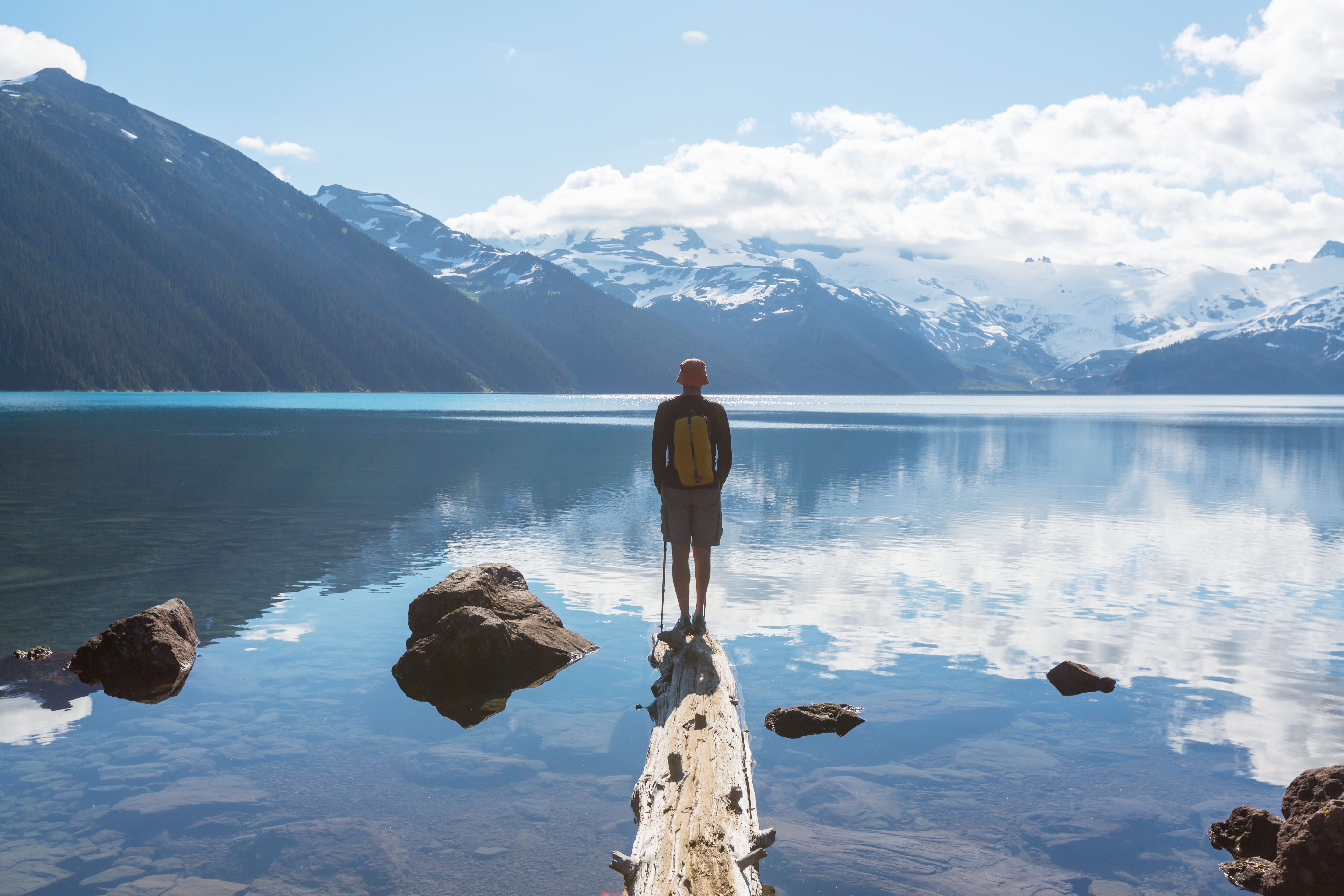 Whistler Shutterstock 471531449