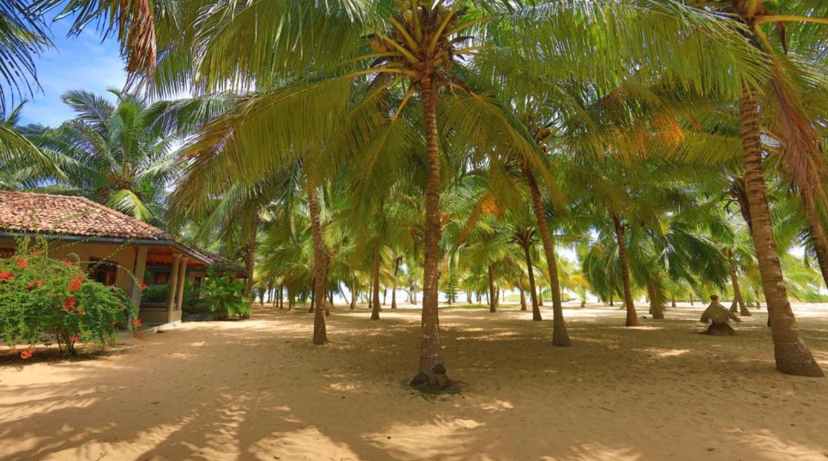 Mangrove Beach Chalets