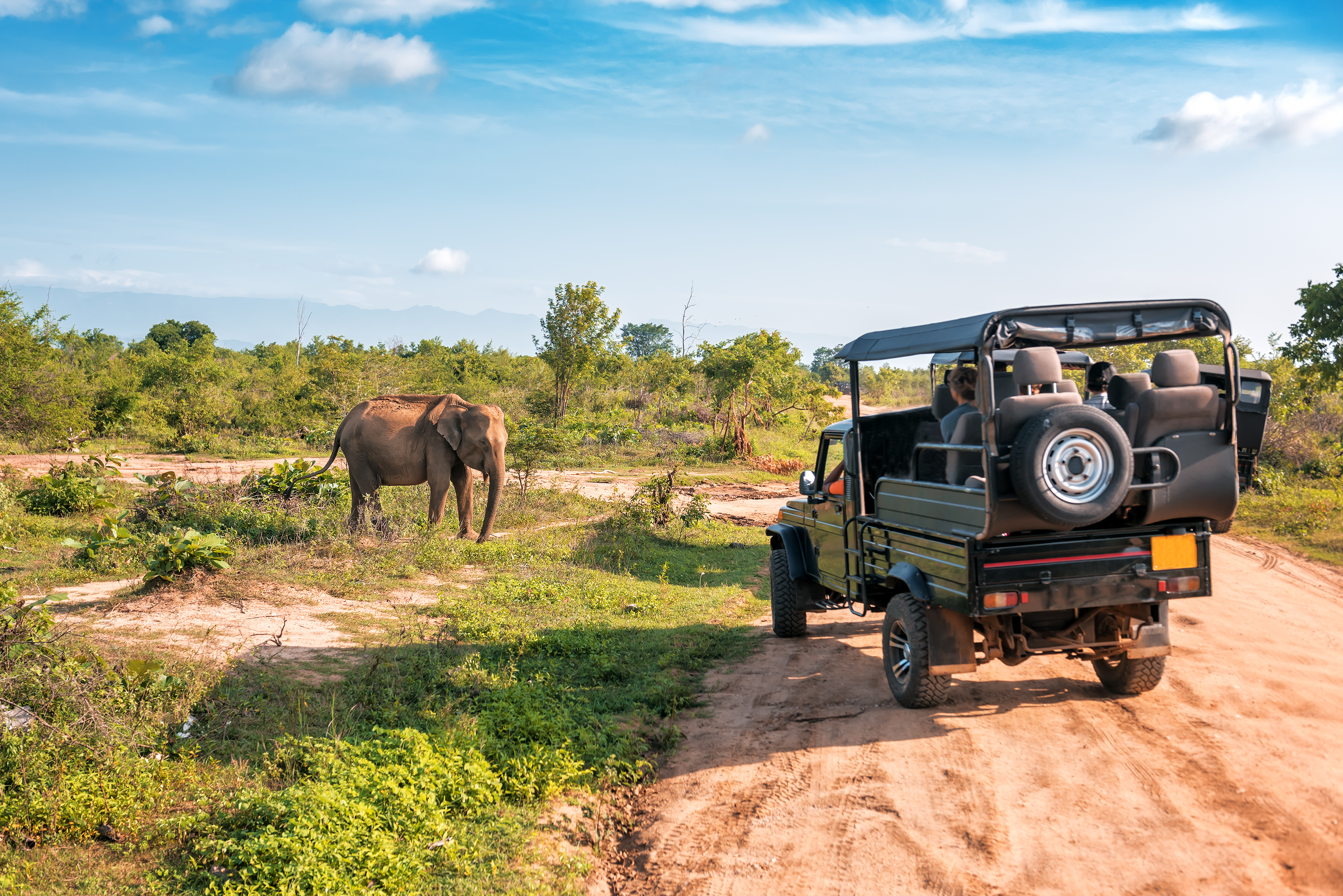 Shutterstock 1524292985 (Live Elephant On Safari Tour. Udawalawe Sri Lanka)
