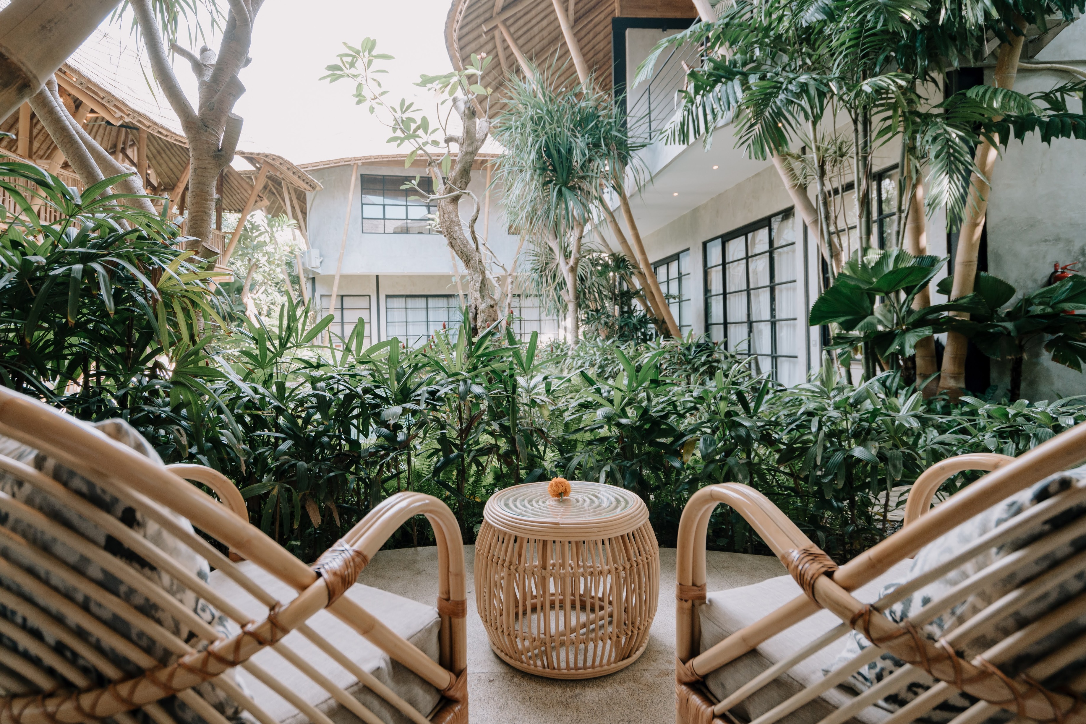 ZHC Aliena Photoshoot June 2022 (18)