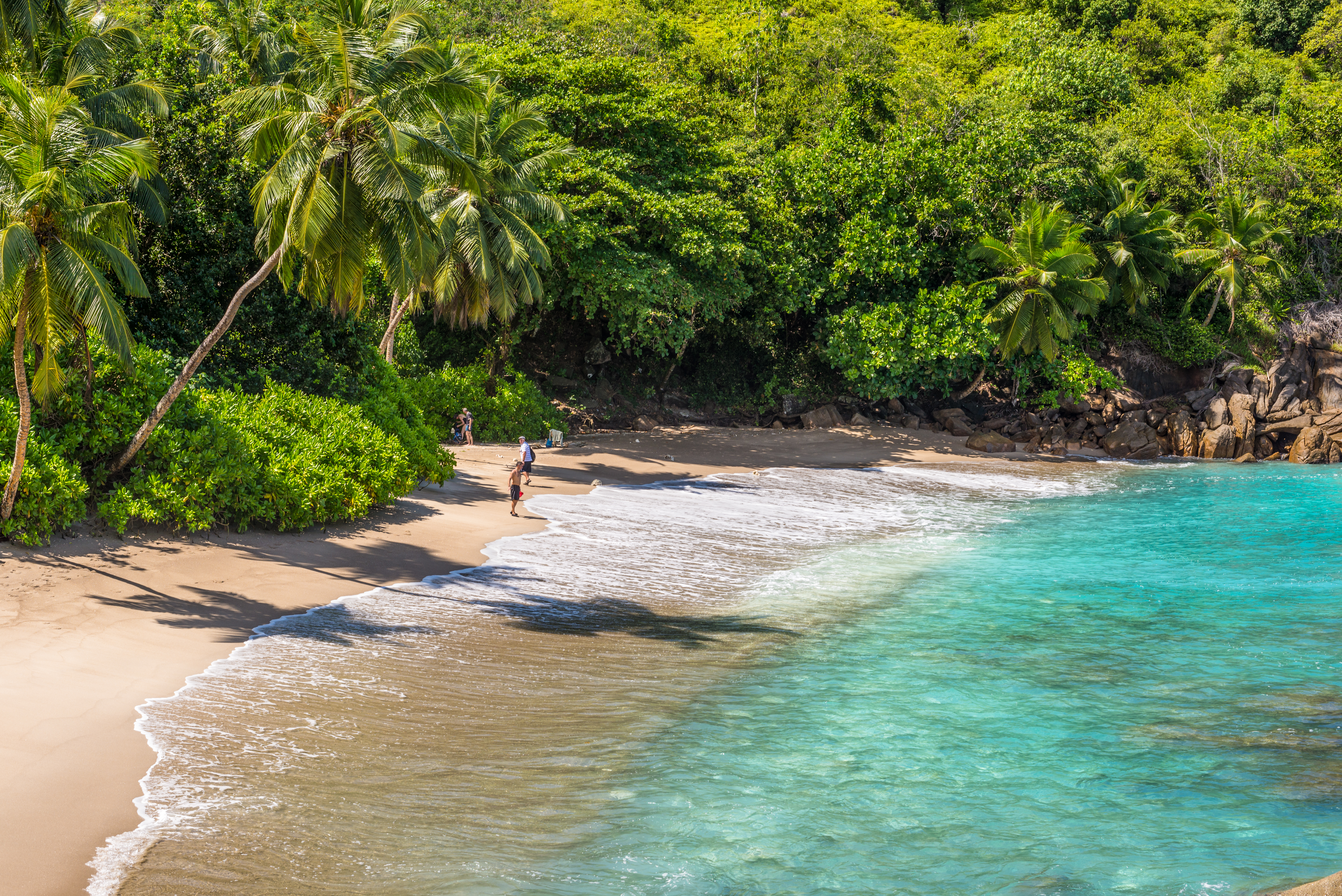 Shutterstock 617614070 Anse Major, Mahe, Seychelles Part Of The Baie Tarney Marine National Park