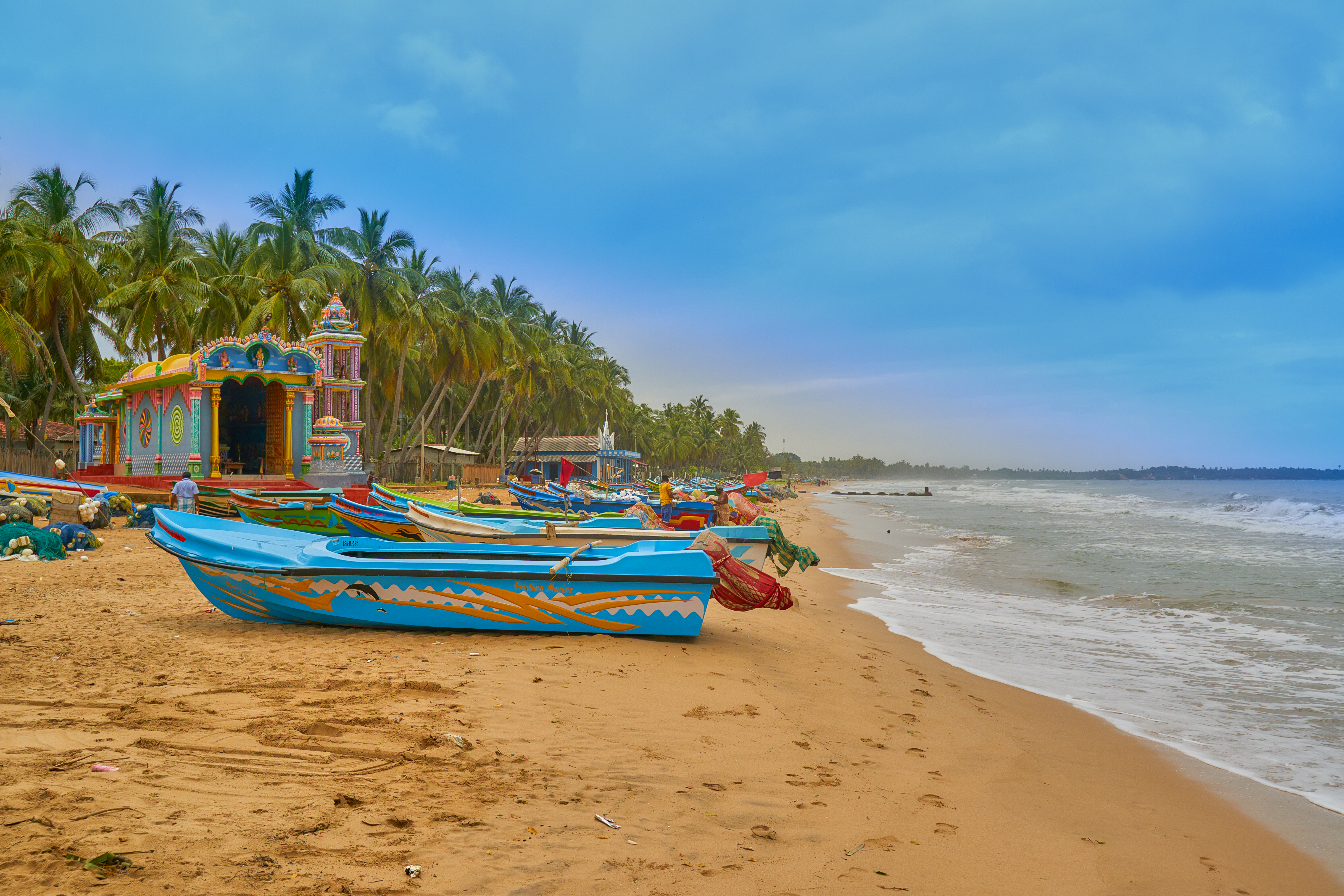 Tringomalee Shutterstock 1834796374