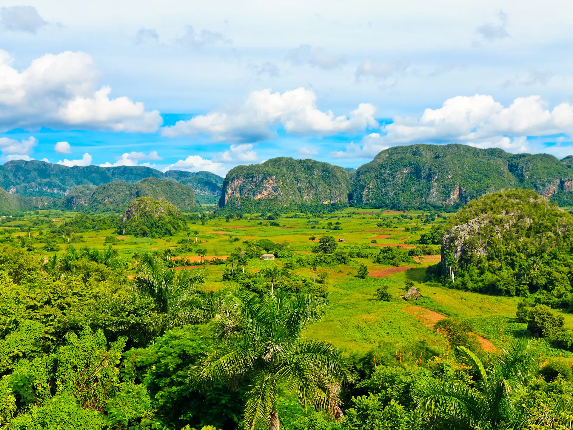 Shutterstock 86617834 Vinales Valley In Cuba, A Major Tobacco Growing Area