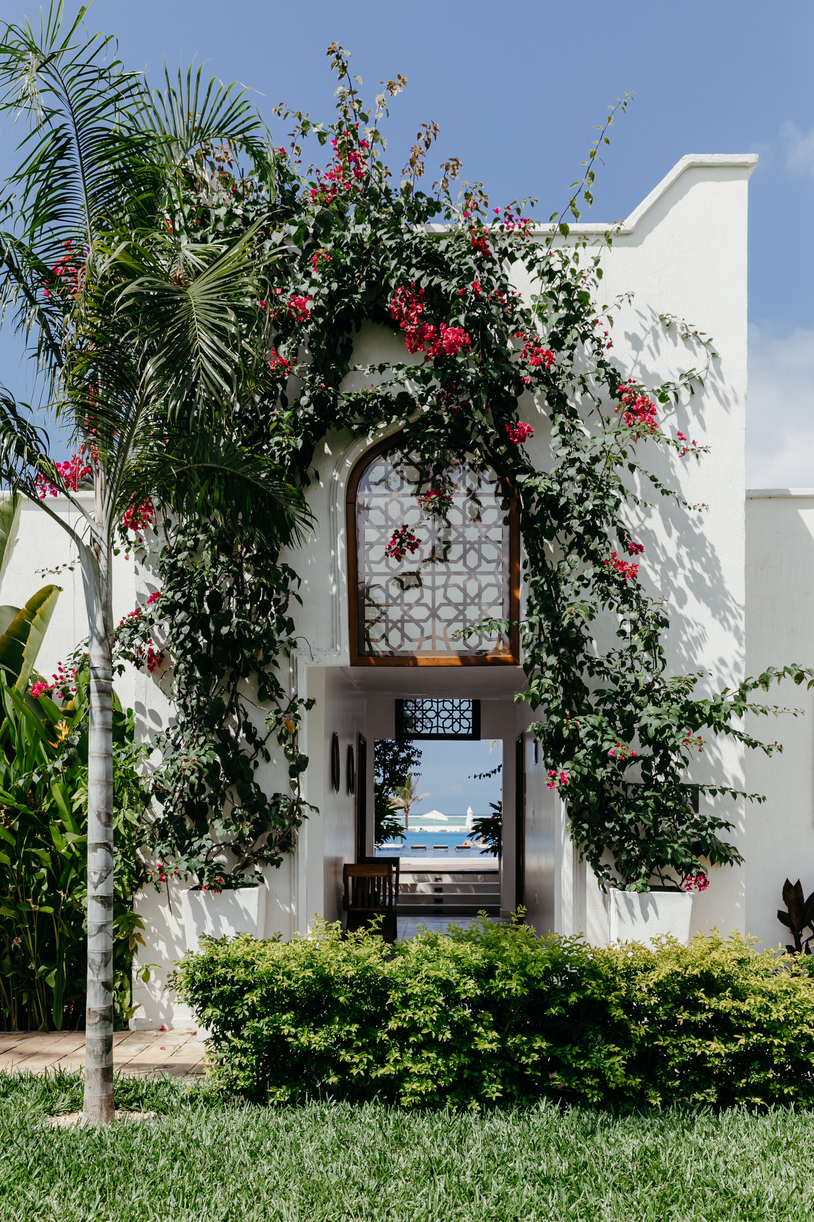 11775 Luxmar 270 3271X4907