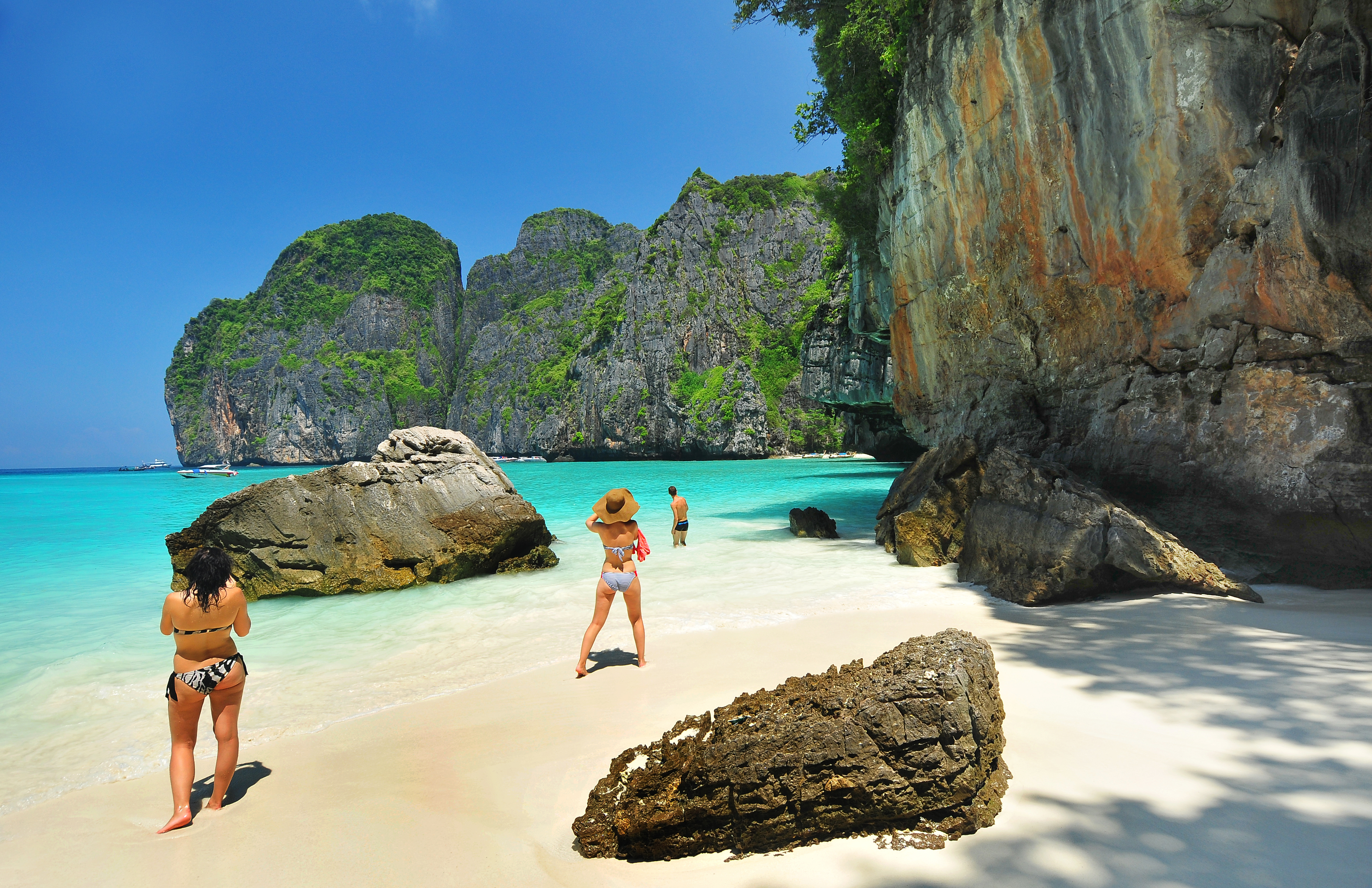 Maya Bay Of Phi Phi Island,Krabi,Thailand 88638445