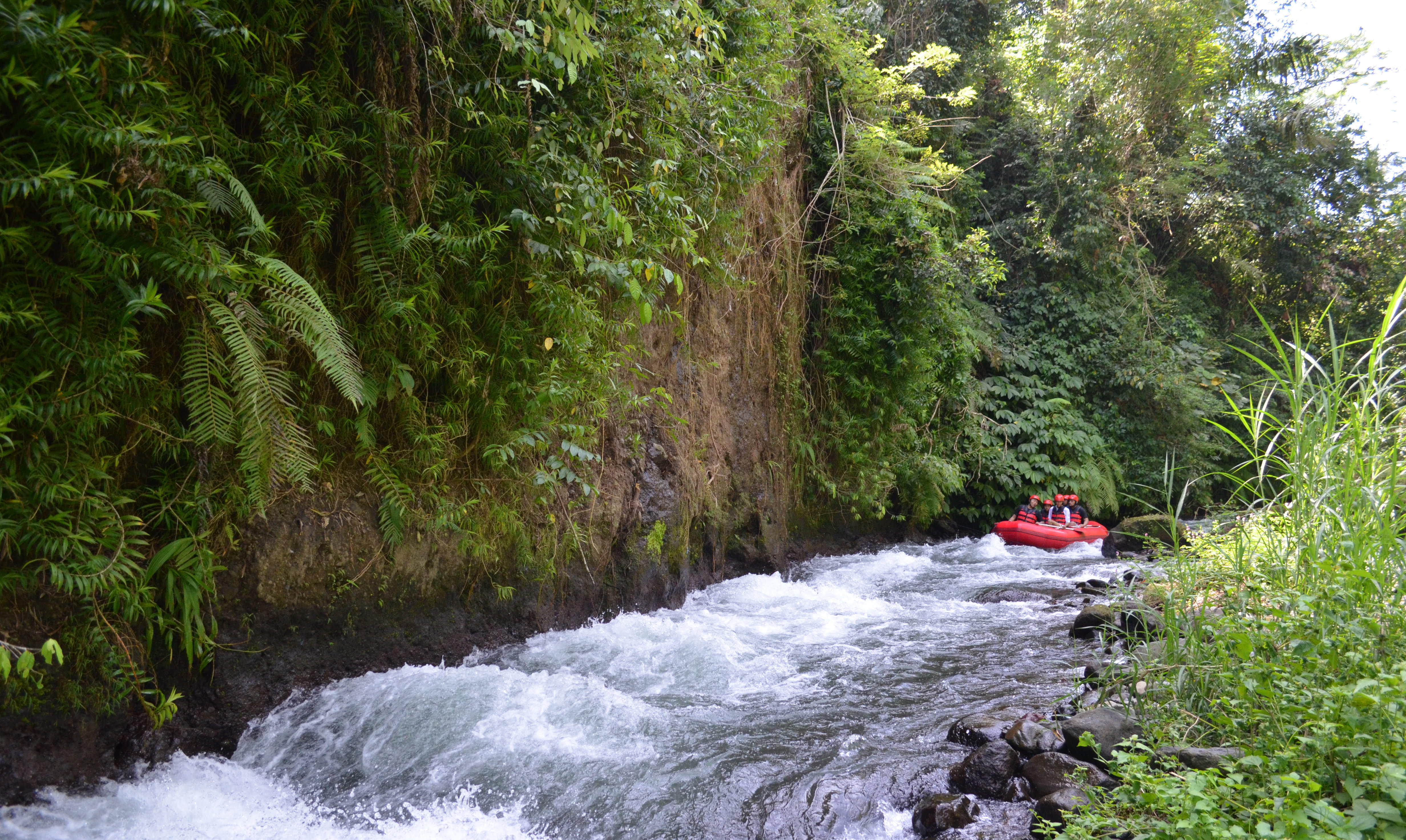 Rafting I Ubud