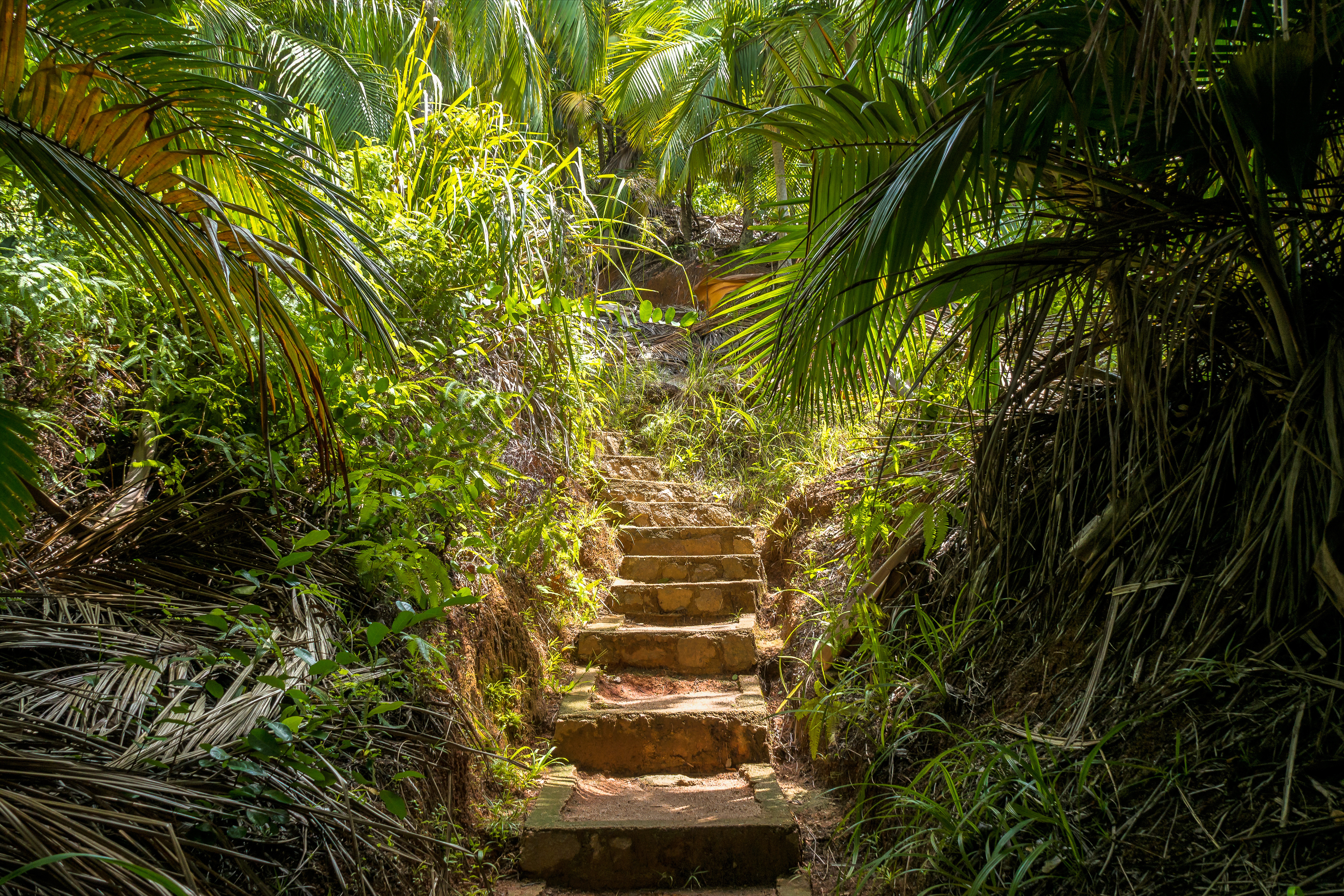 Shutterstock 1097607566