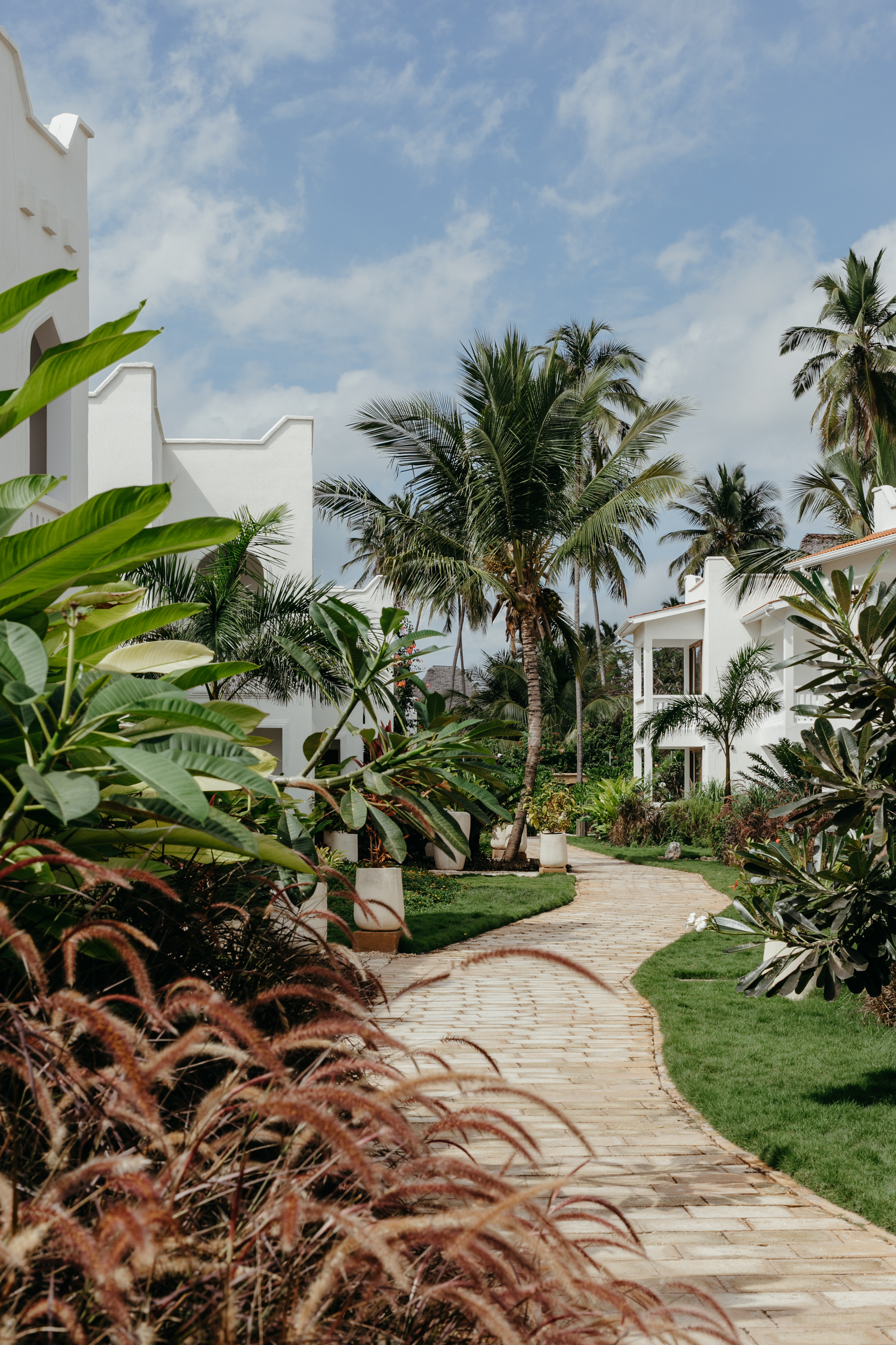 11814 Luxmar 10 3360X5040