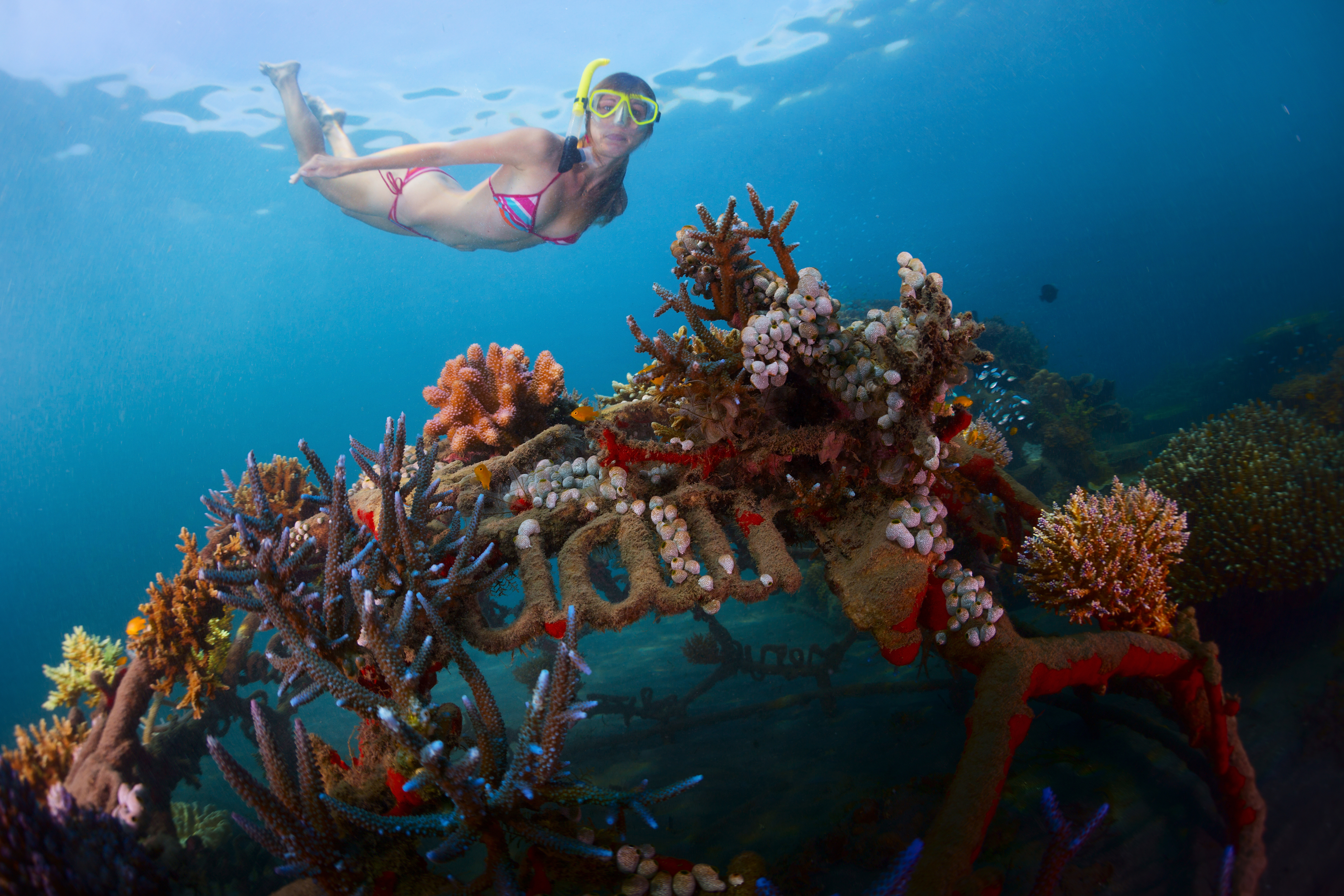 Biorock Pemuteran, Bali 