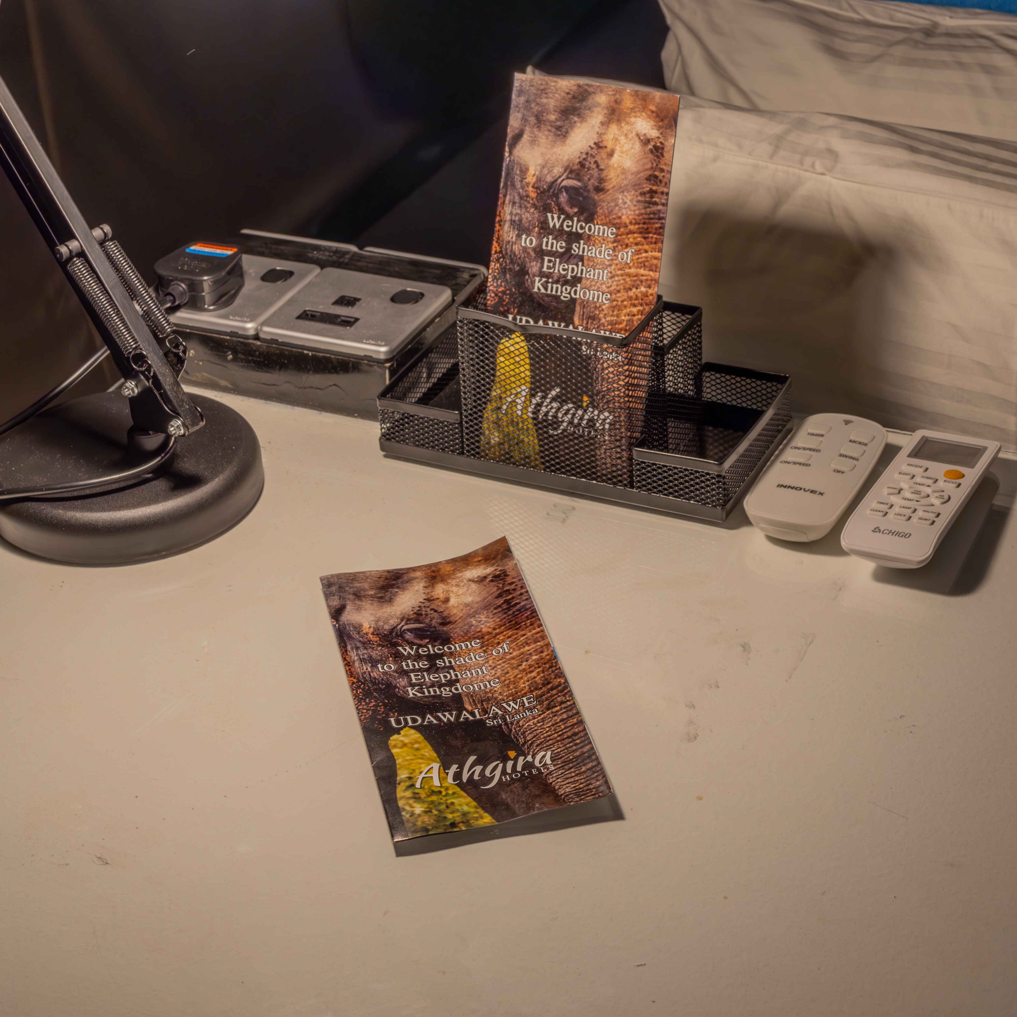 IMG 5242 Enhanced NR FINAL Athgirarivercamp Thadshanyogesarchphotography