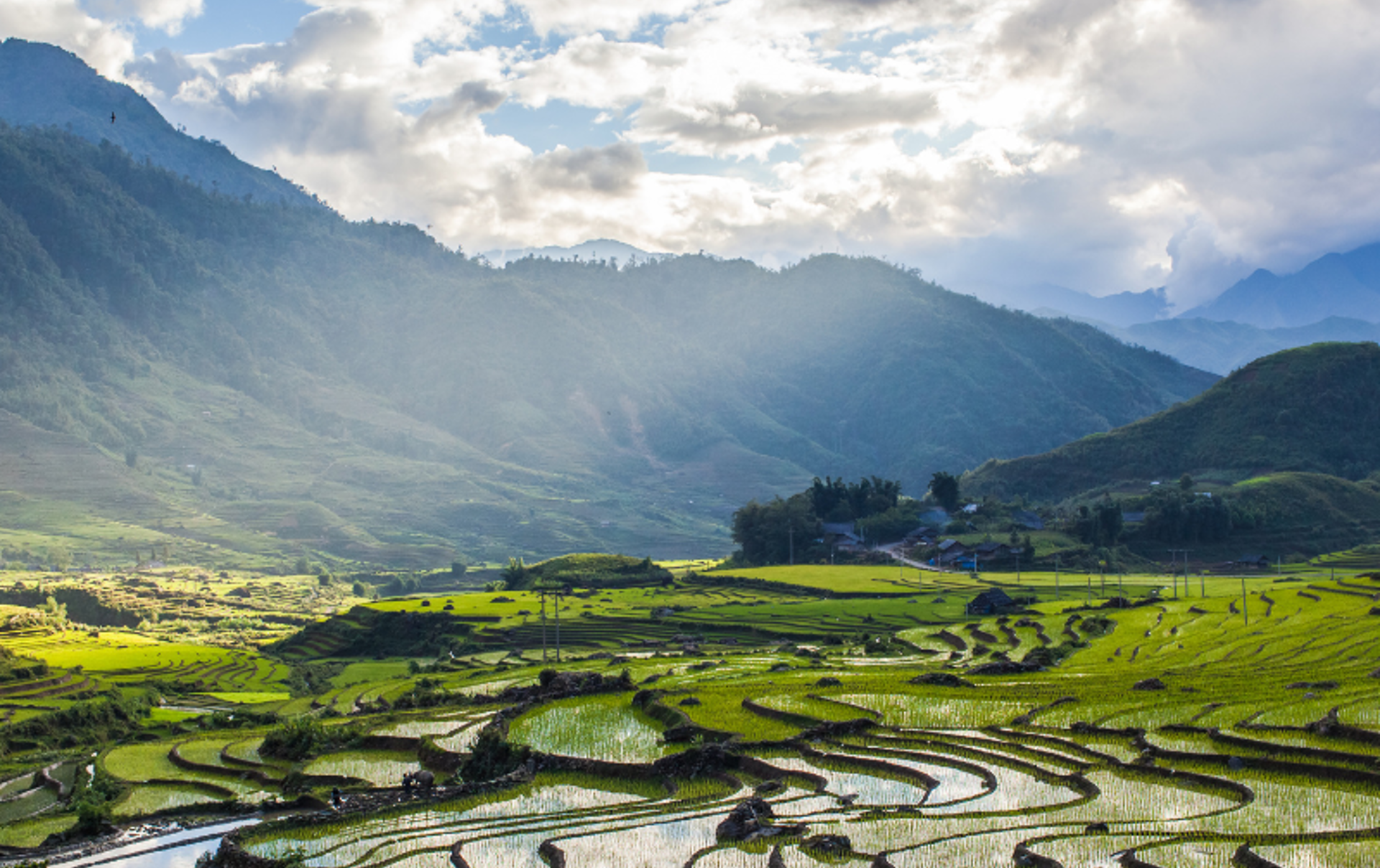 Vietnam