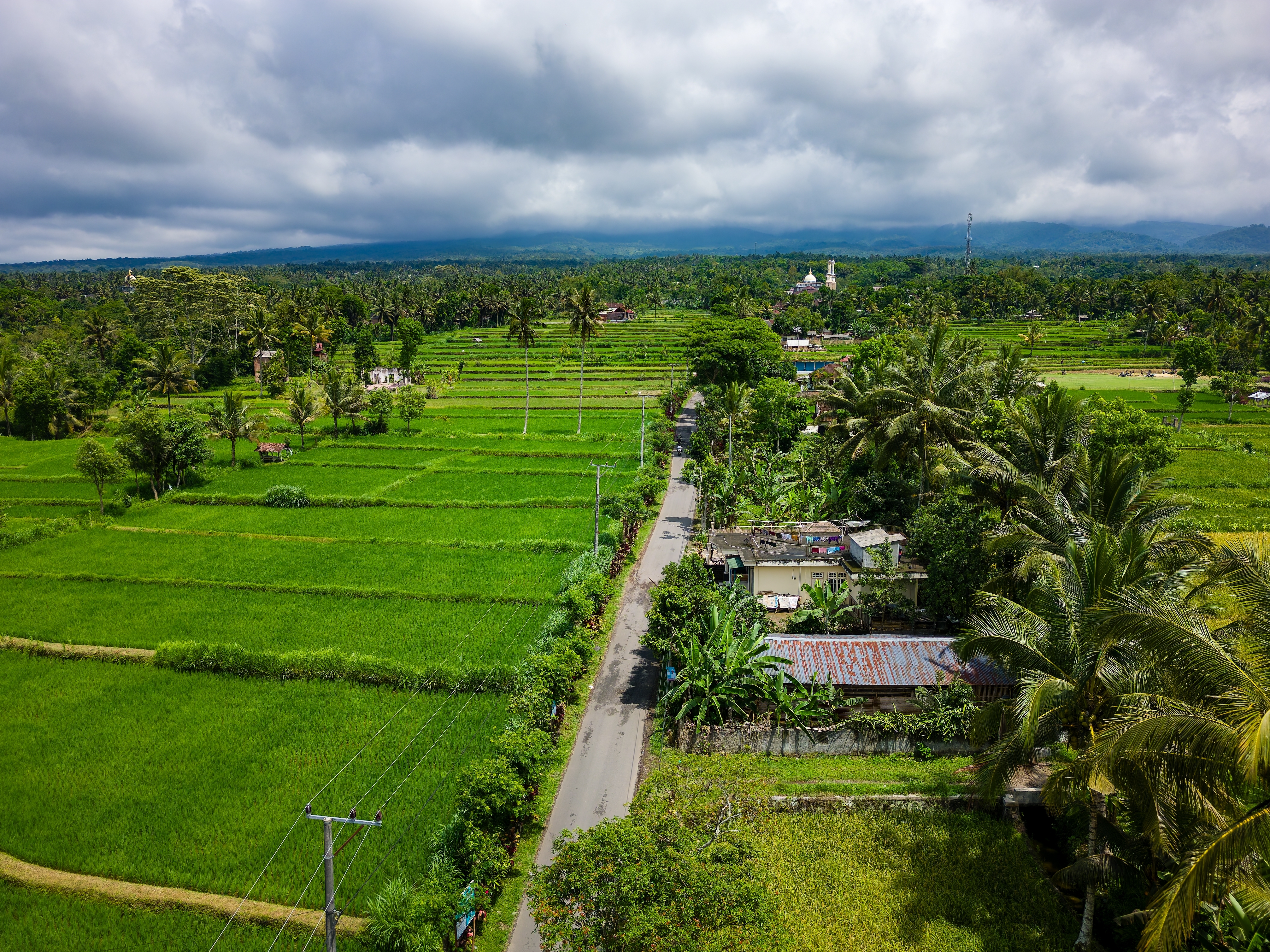 Shutterstock 2473263647 (Aerial View Of Beautiful Green Rice Terraces In Tetebatu, Lombok)