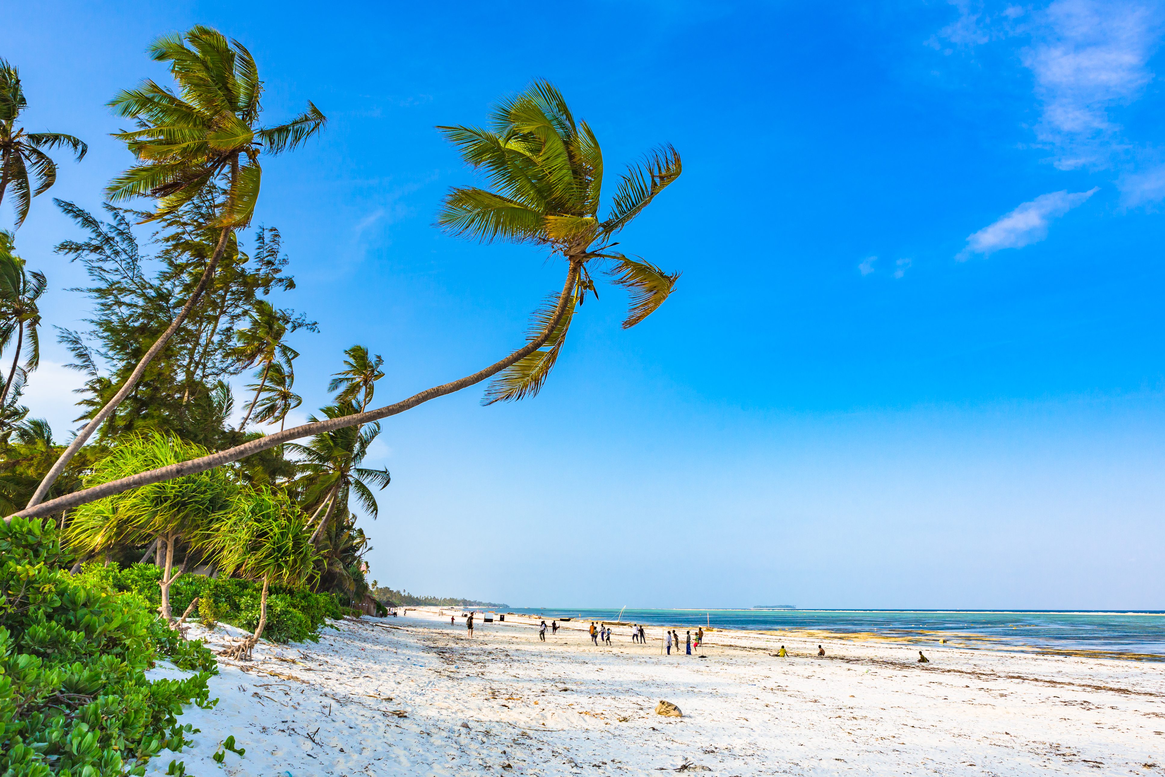 Matemwe Beach, Zanzibar. Tanzania. Billede