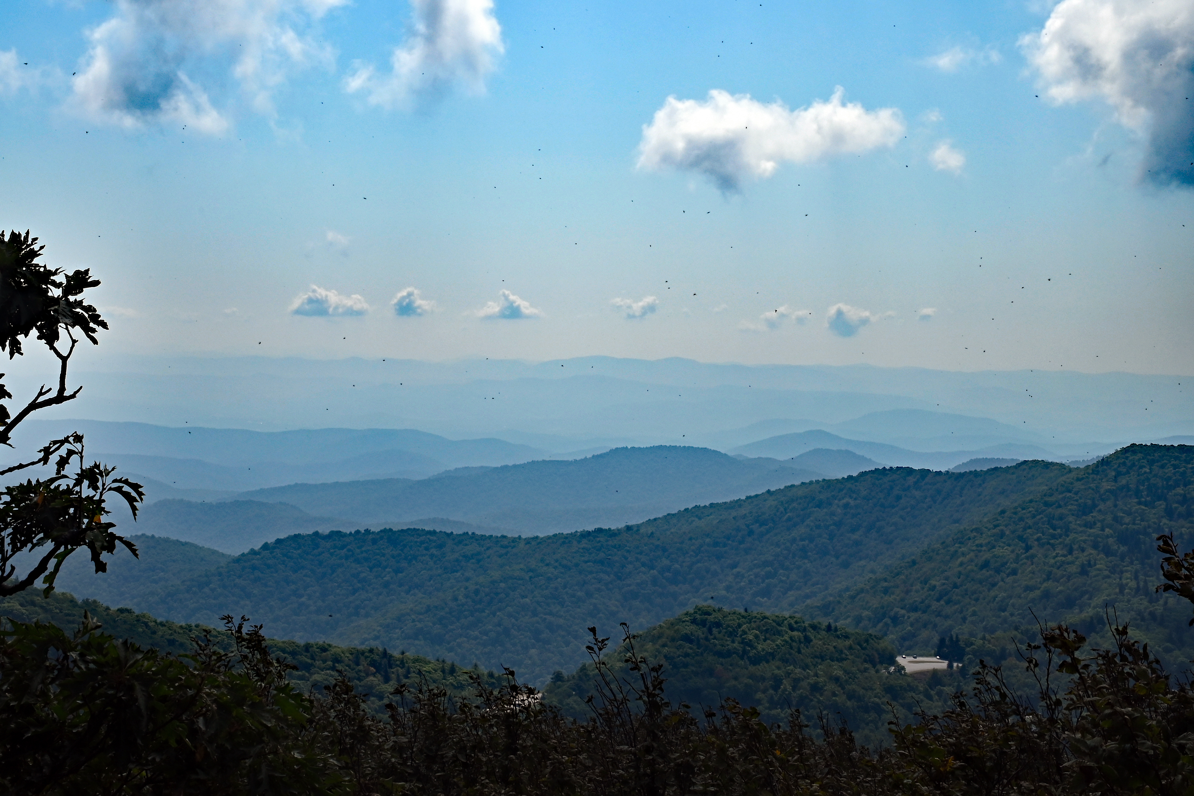 Shutterstock 1504360400 Mount Pisgah North Carolina Hike