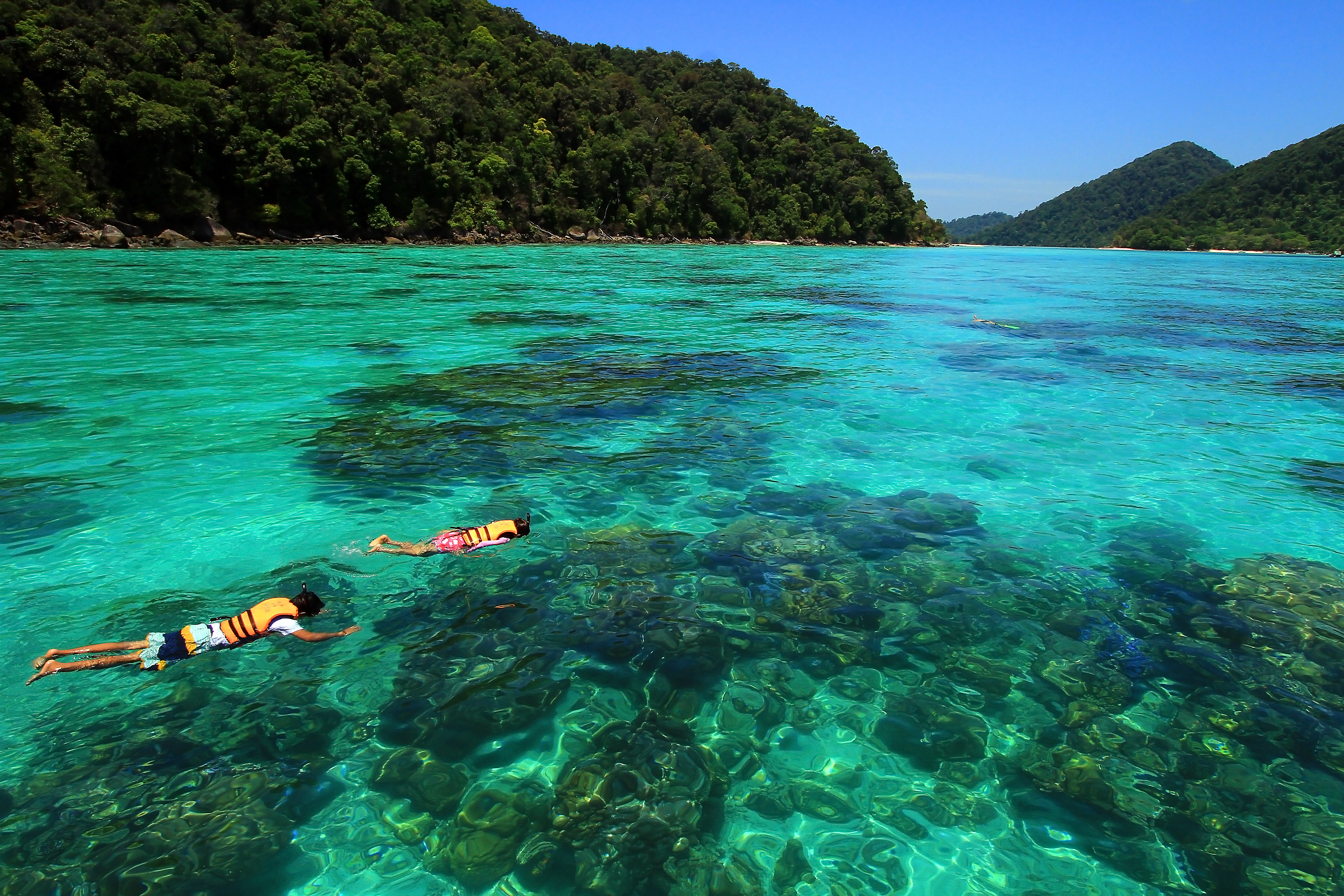 Surin Islands Thailand Shutterstock 762102838 (Two People Are Snorkeling At Surin Island, Thailand)
