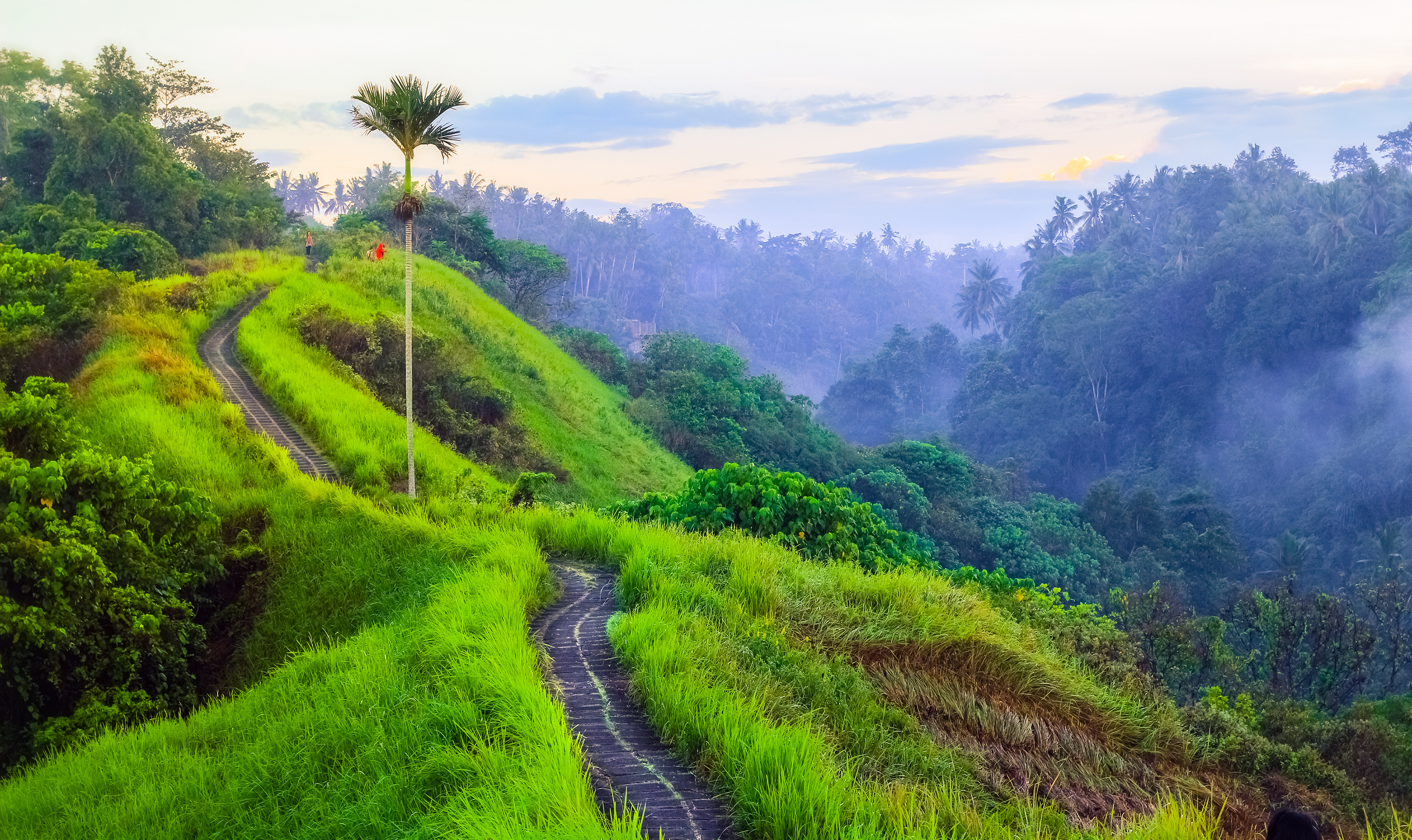 Campuhan Ridge Walk , Scenic Green Valley In Ubud Bali
