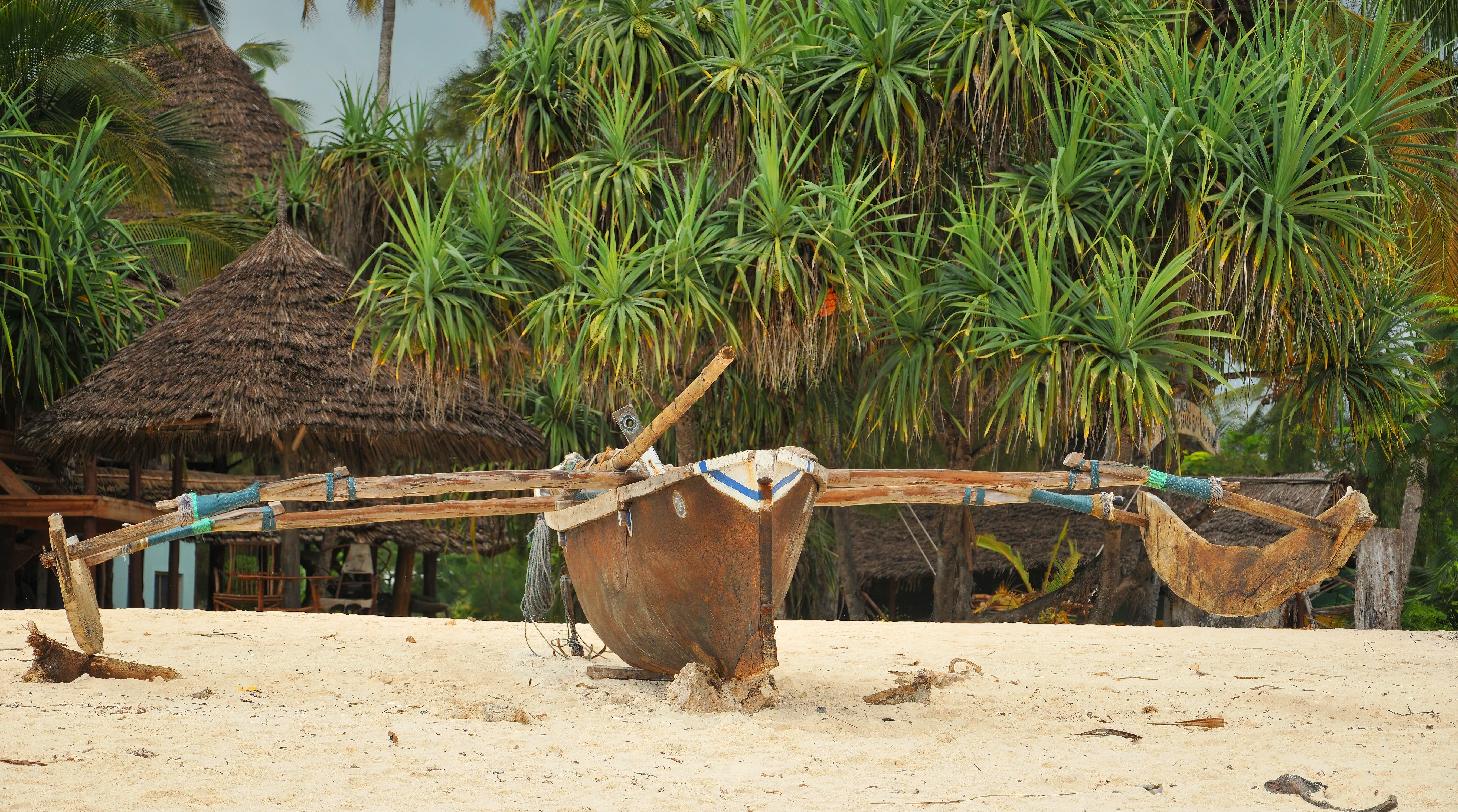 Nungwe Beach På Zanzibar Traditionel Båd