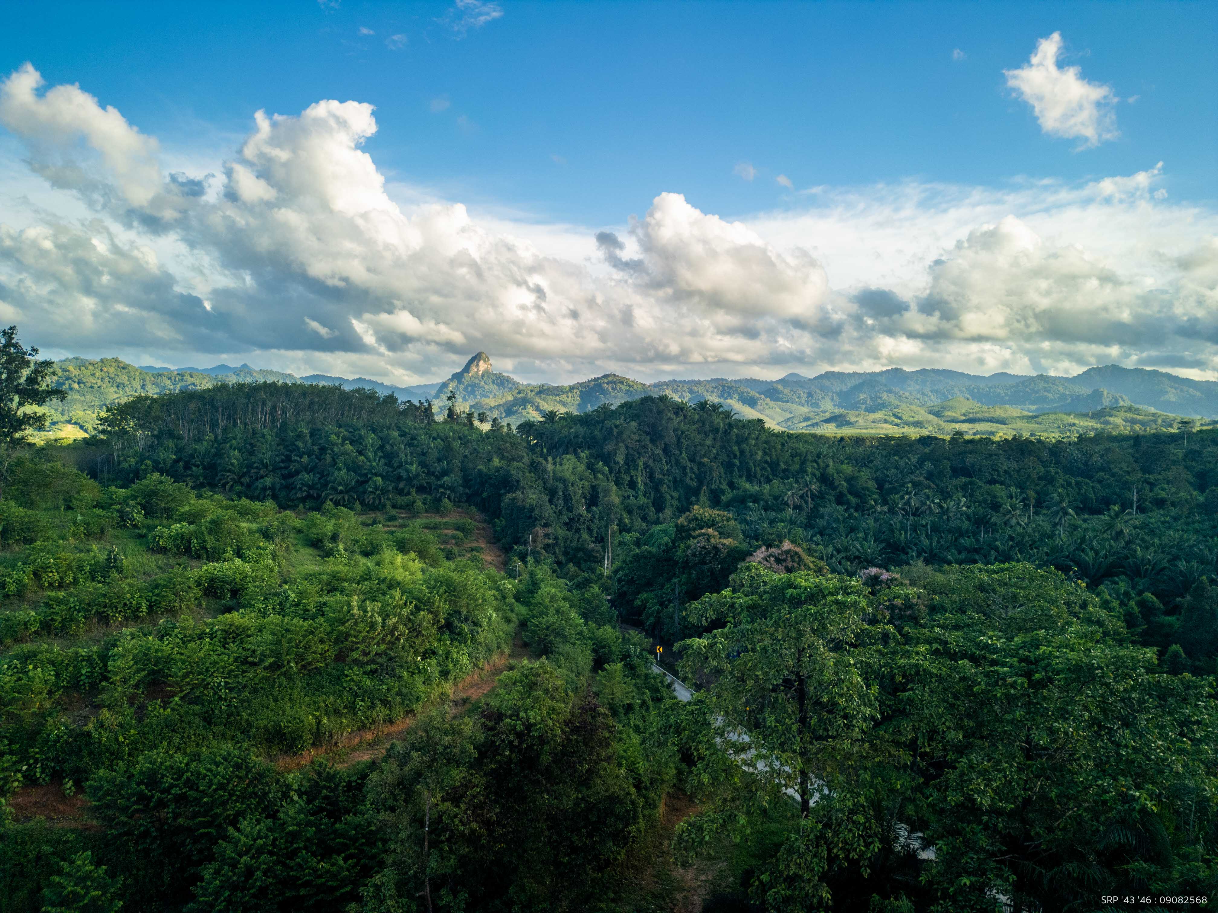 Drone Khaosok Camp 52