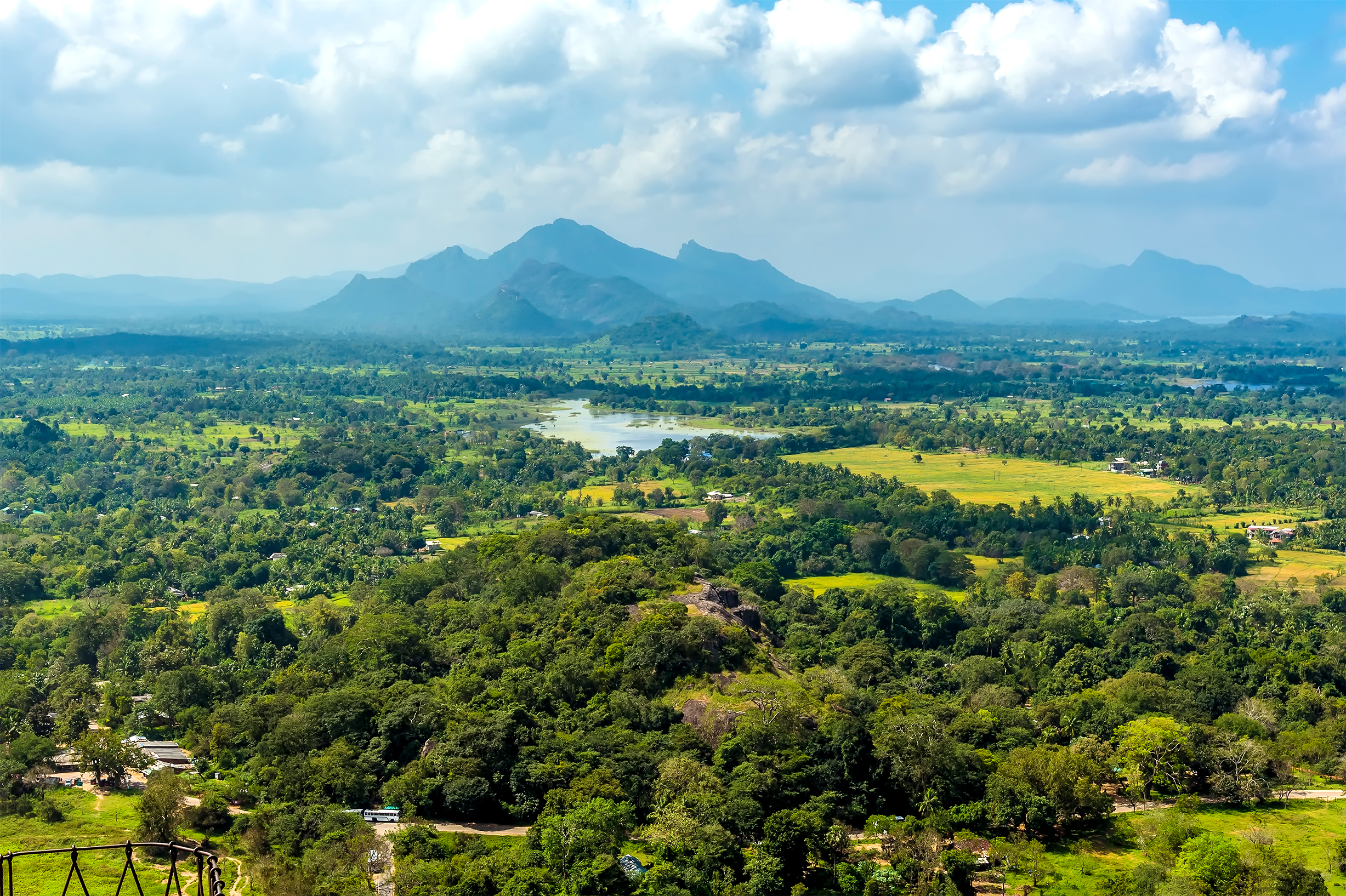 Shutterstock 1346399756 (The Southerly View From The Top Of The Rock Fortress Of Sigiriya, Sri Lanka)