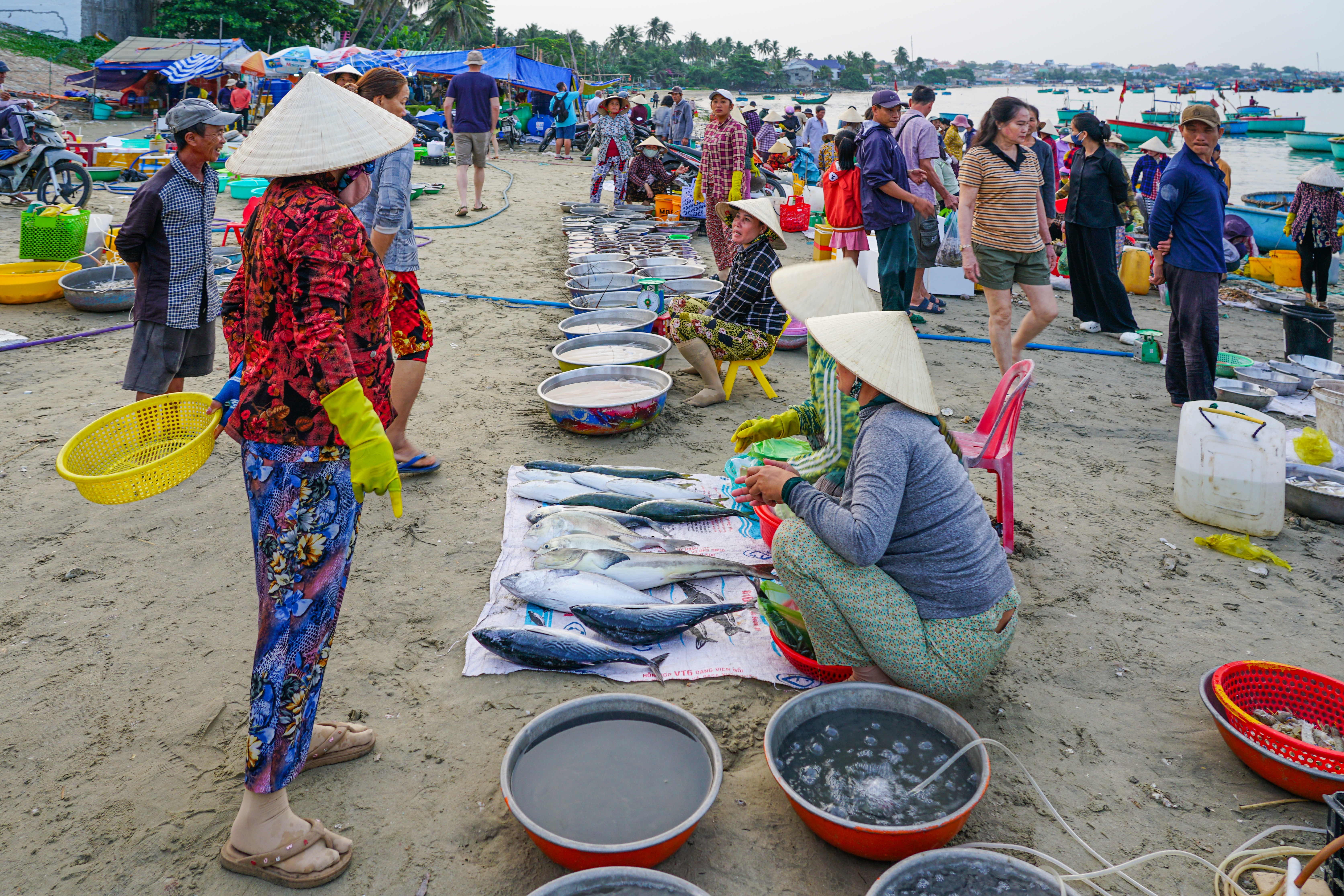 Mui Ne Fishing Village Shutterstock 2648120089