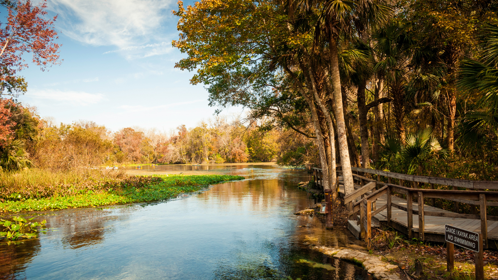 Wekiwa Springs State Park