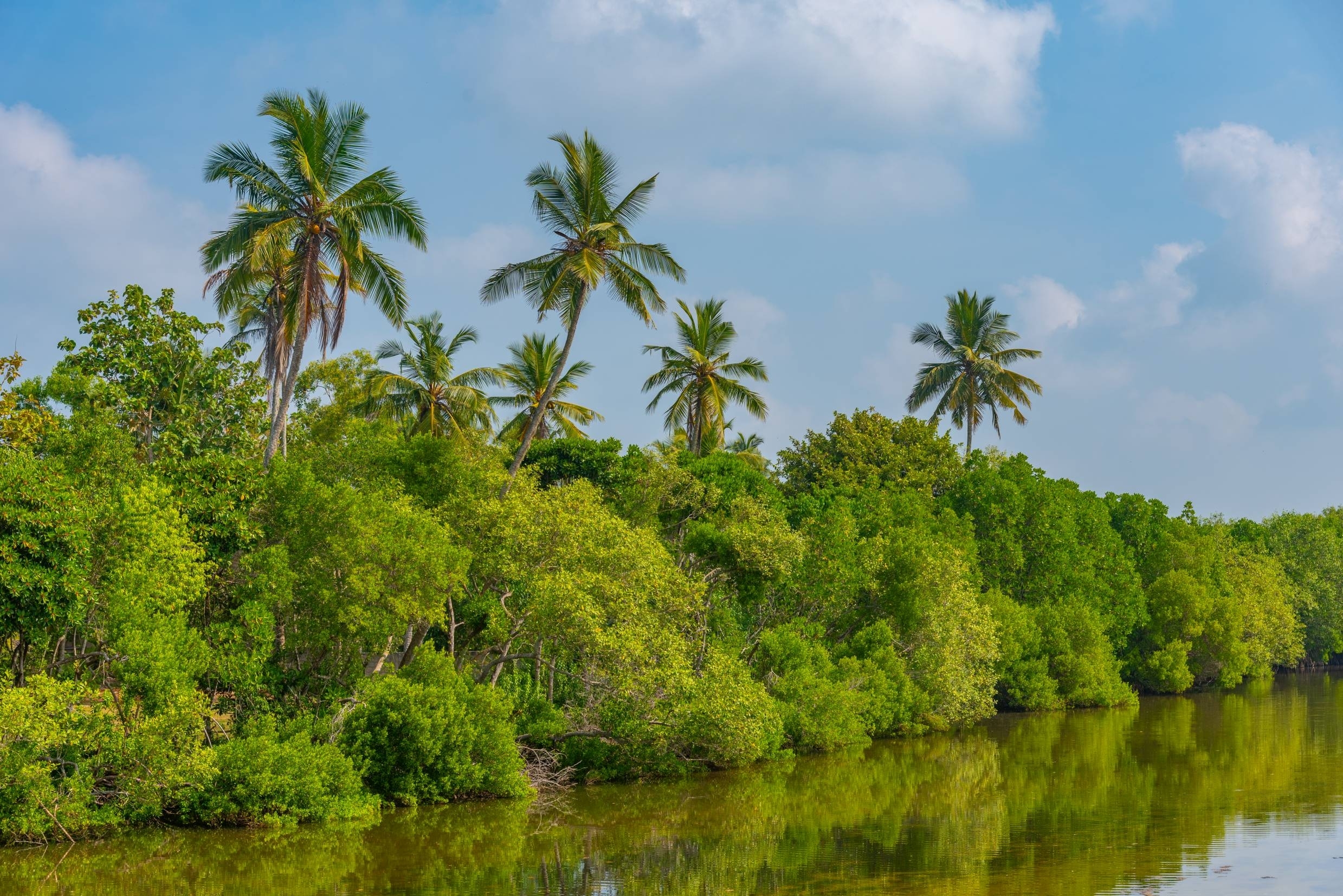 Shutterstock 2370947893 (Rekawa Lagoon)