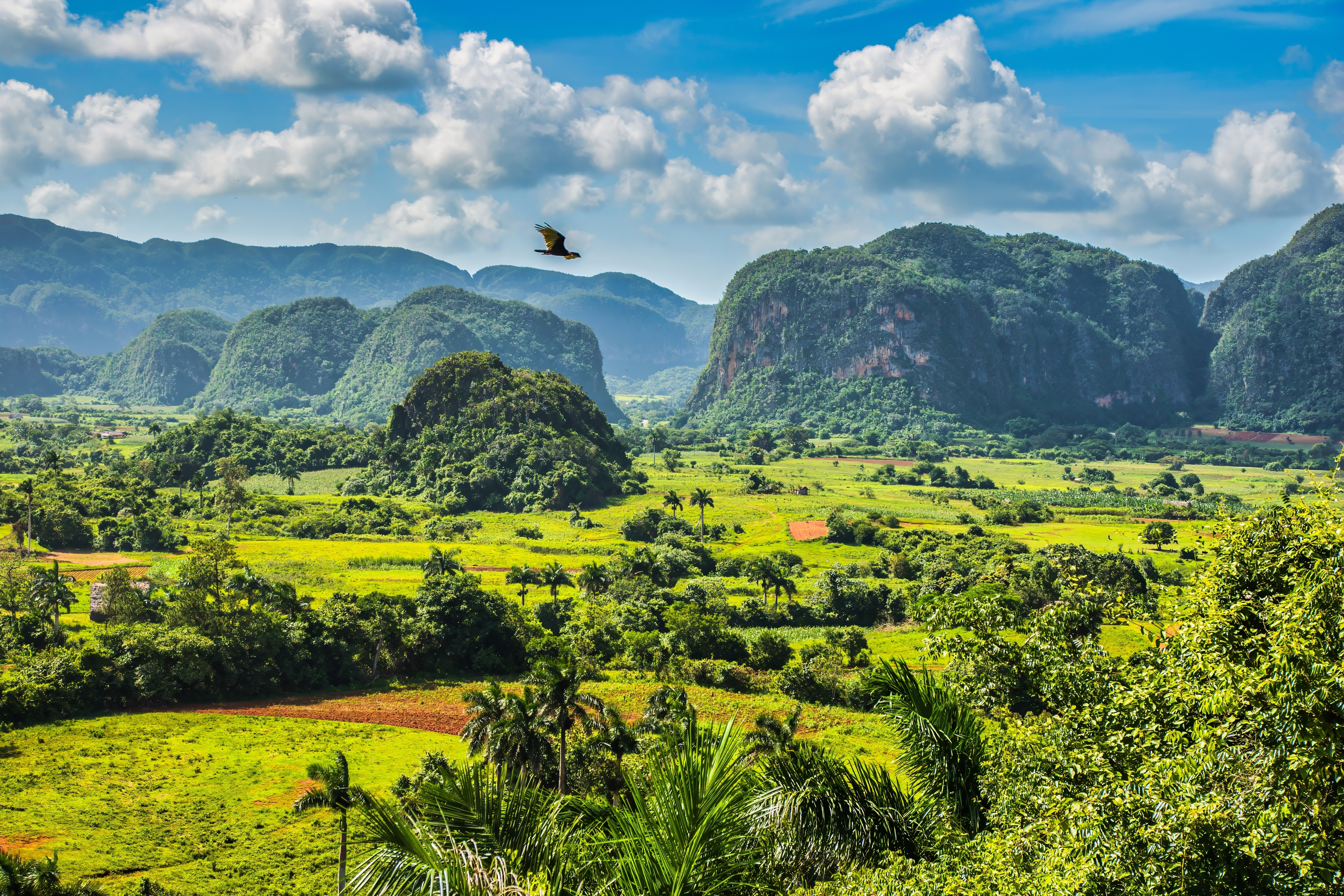 Vinales Shutterstock 2405665313