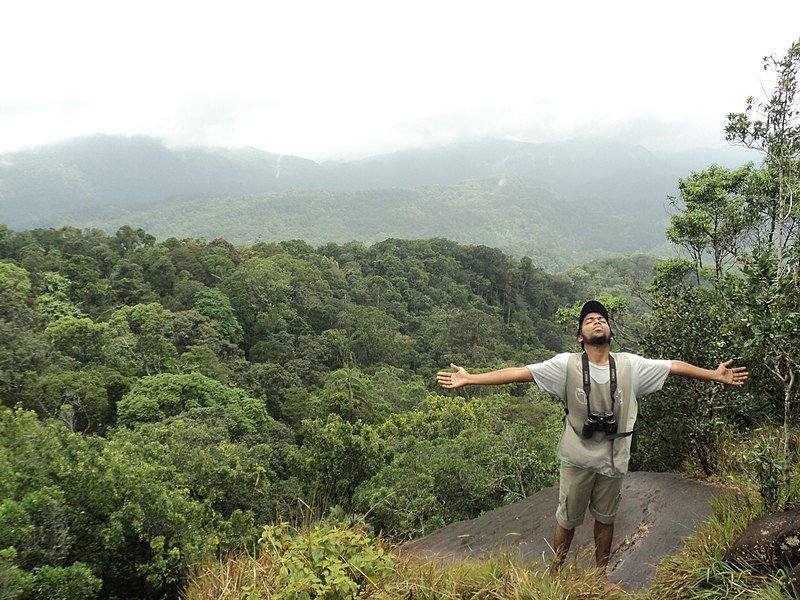 800Px Hill In Sinharaja Rain Forest