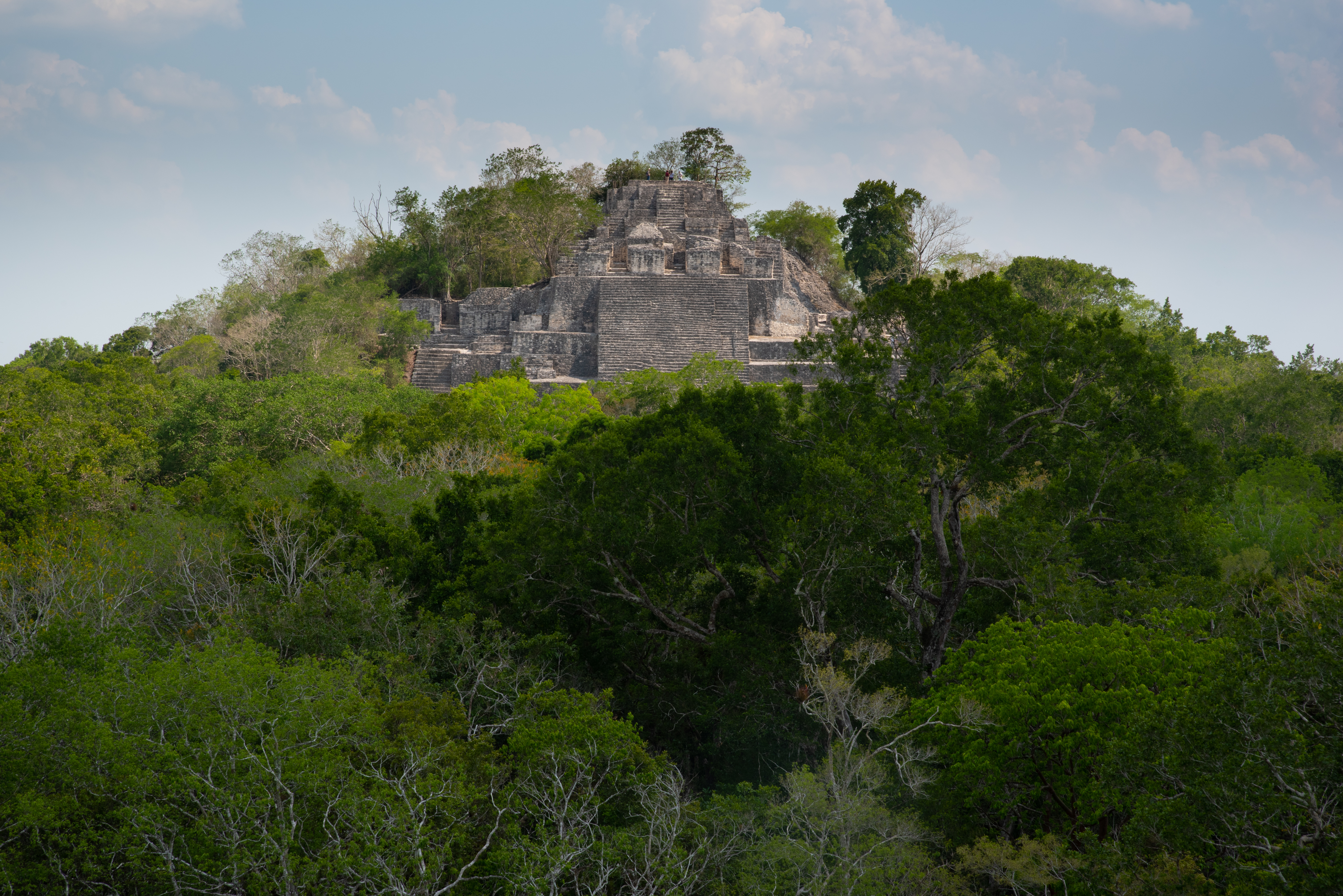 Mayapyramide i Calakmul hæver sig over junglen i Campeche, Mexico