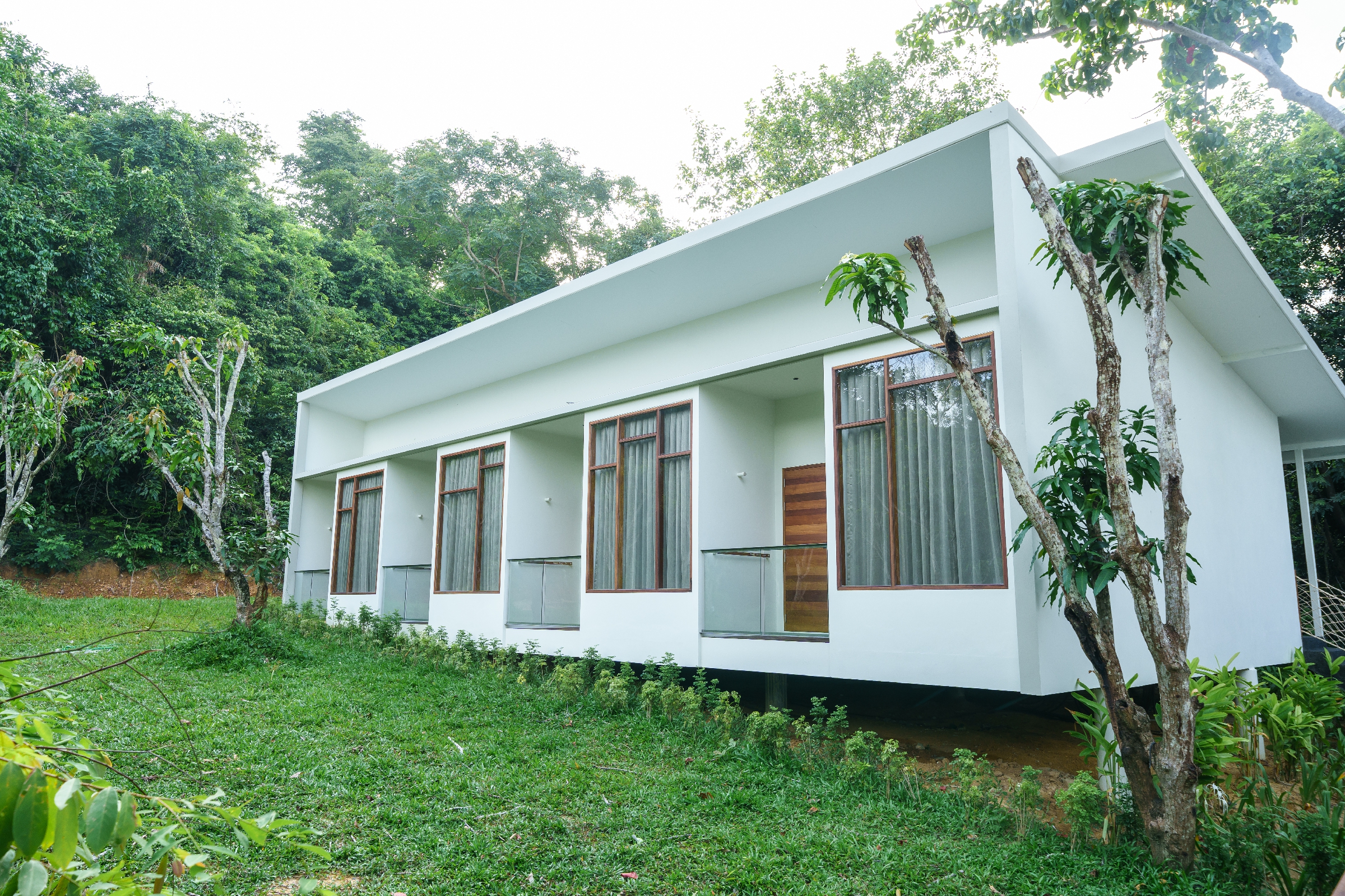 Jungle Deluxe Landscape 4